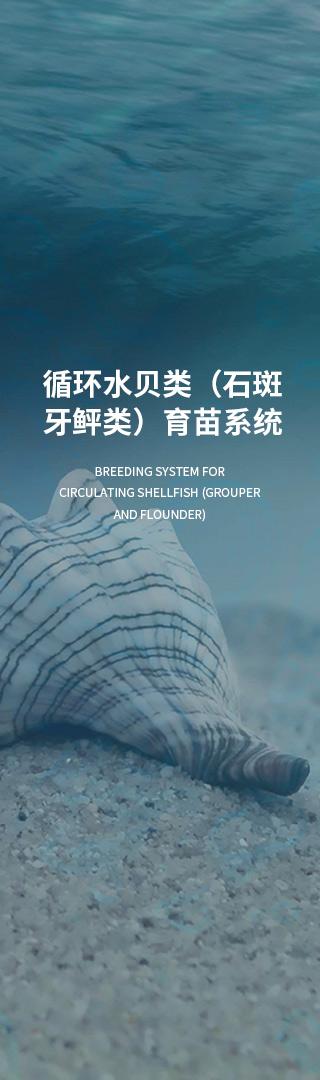 何為真正的綜合型技術伙伴 從研發到運營的全鏈條服務時代